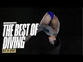 Best Diving Moments At Paris2024