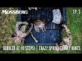 Gobbler At 10 Steps Crazy Spring Turkey Hunts