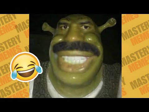 THE ABSURD MEMES I FOUND WITH MEXICAN SHREK