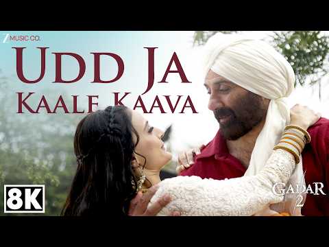 Udd Jaa Kaale Kaava — watch video