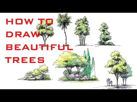 CONCEPTS APP TIPS - HOW TO MAKE BEAUTIFUL TREE SKETCHES  (Watercolor effect) - iPad Pro