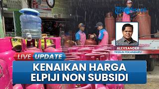Warga Pekanbaru Keluhkan Kenaikan Harga Elpiji Non-subsidi, Diakui Tak Sebanding dengan Pemasukan