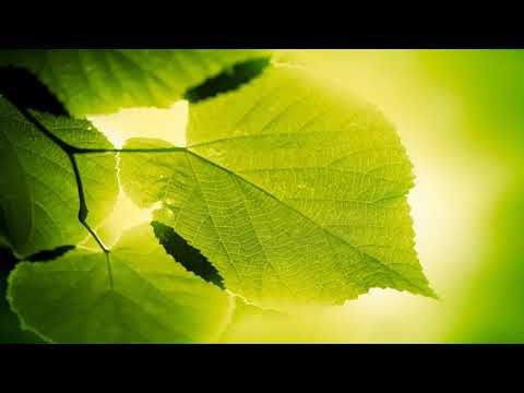 Heut liegt was in der Luft - Sci-Fi Hörspiel