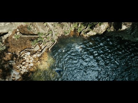 Awa Ly - Summer Rain (Official Video)