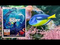 Disney Pixar Finding Dory Blu Ray DVD Disneypixar Findingdory Moviecollection
