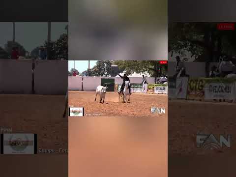 #cavalo #rodeio #transmissãoaovivo # laçocomprido Chapada gaúcha - MG