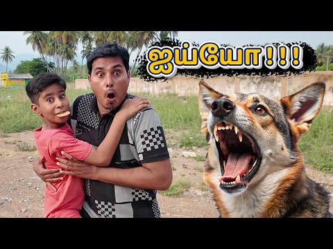 😄 ஐயோ ! Pranesh Dad Dog Comedy #shorts #funny #comedy @SonAndDadOfficial