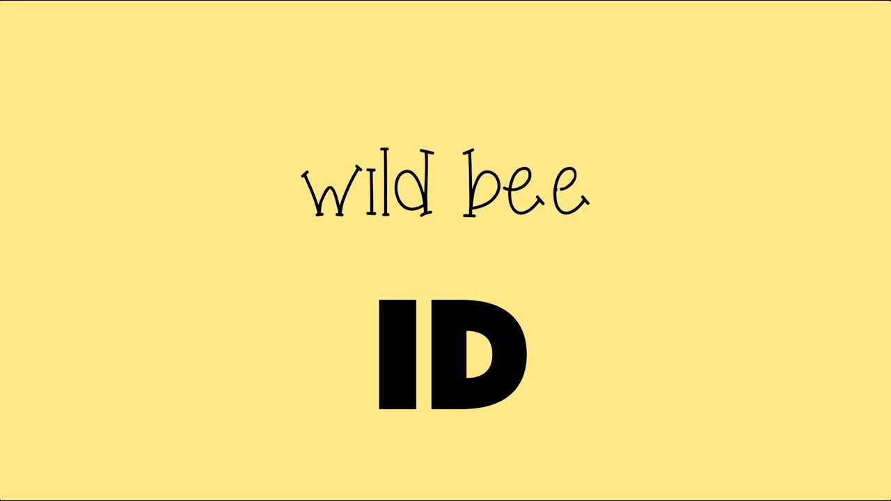 Wild Bee ID: Save bees with an app!
