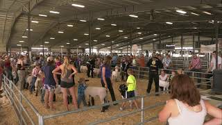 Umatilla County Fair 2026 - 4-H/FFA Sheep Showmanship followed by Goat Showmanship