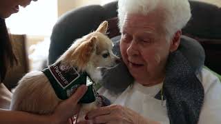 Pet Partners 40th Anniversary