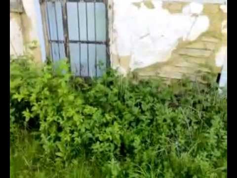 Dragiša iz G. Romanovce (mesna zajednica :)))