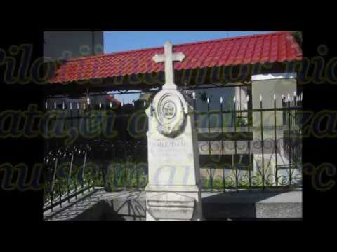 Locotenent  aviator Vasile Tarian Patas Caras Severin !