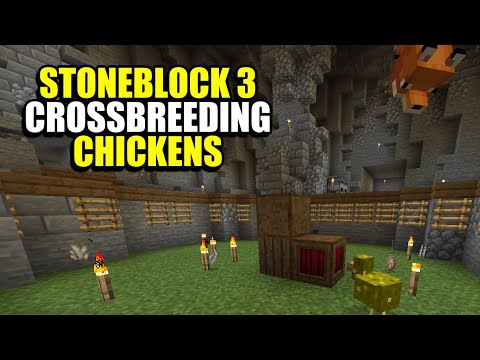 Ep8 CrossBreeding Chickens - Minecraft StoneBlock 3 Modpack