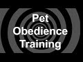 Pet Obedience Training Hypnosis