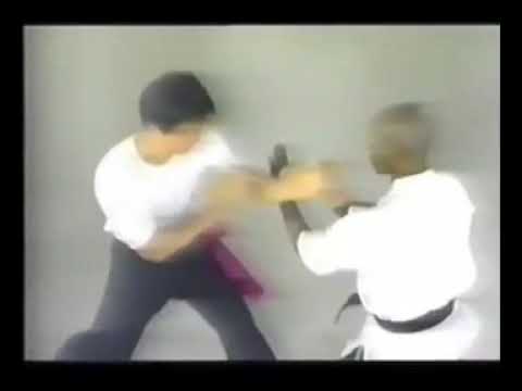 William Cheung Lineage Wing Chun Way Vol  2 - TWC | HHSMA