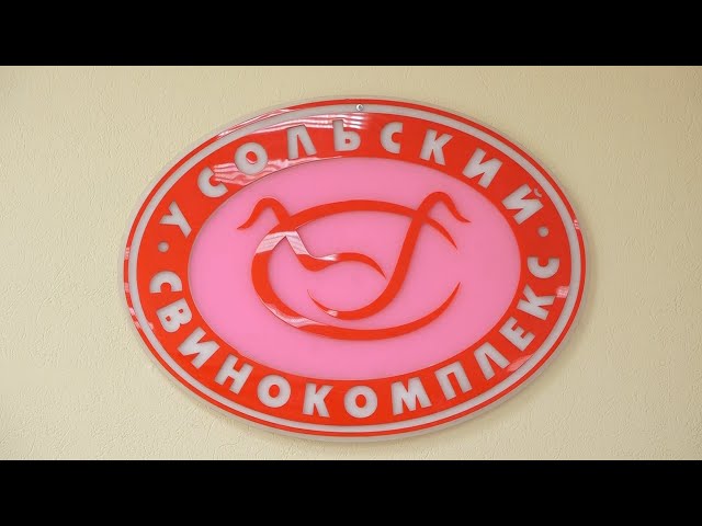 «Усольский свинокомплекс» - качественный продукт!