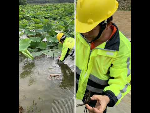 0519樹林里水患自主防災社區梅雨鋒面豪雨應變