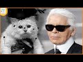 Schock Für Die Familie! Details Aus Testament Von Karl Lagerfeld (†85) Bekannt