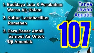 Download lagu 107 : Budidaya Lele, Kultur Lactobacillus, Cara Uji Amonia mp3 Download lagu 107 : Budidaya Lele, Kultur Lactobacillus, Cara Uji Amonia mp3