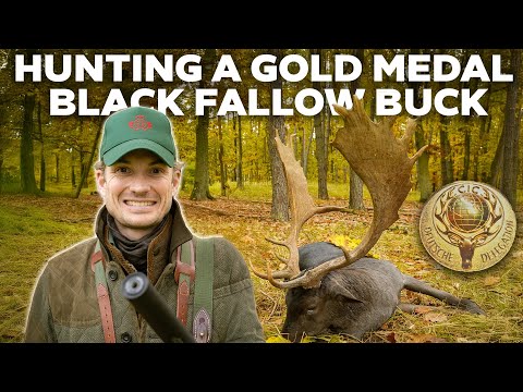 Franz-Albrecht Oettingen-Spielberg and 3 more