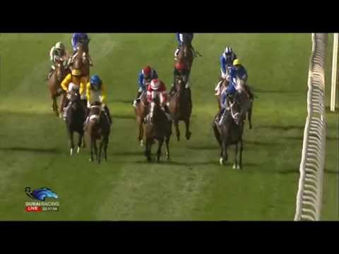 12.02.2015 Meydan (Dubai/UAE) 7.Race The The Rover Sport Trophy - Handicap 1.800 m