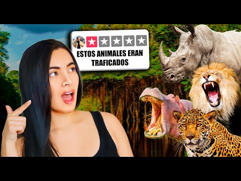 THIS IS THE MEDELLÍN ZOO