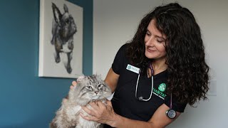 Habitat Veterinary Hospital - Tour
