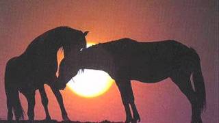 alejandro sanz un charquito de estrellas