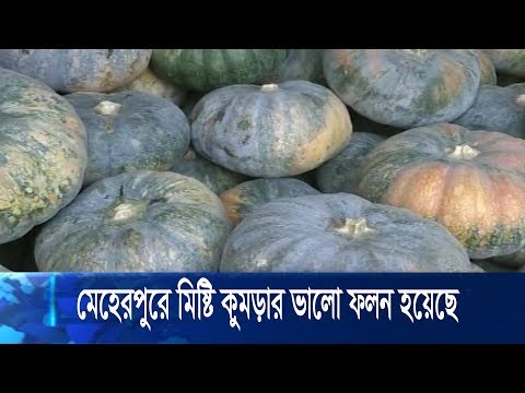 করোনার কারণে পণ্য পরিবহন ব্যহত হওয়ায় সবজি বিক্রিতে সমস্যায় চাষীরা