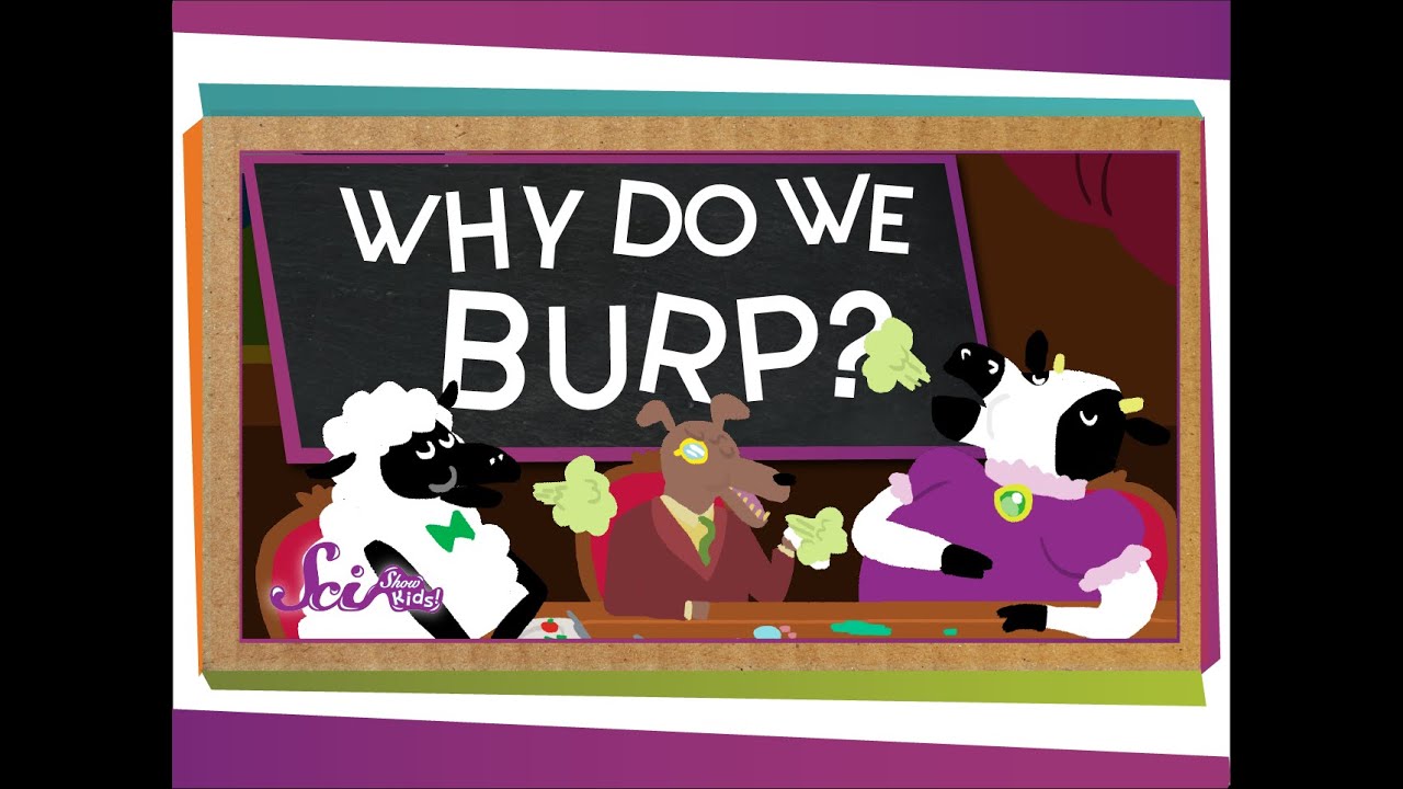 Why Do We Burp?