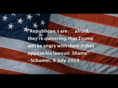 Schumer: “Republican[s are]... afraid... that Trump will be angry... if they oppose his lawsuit”