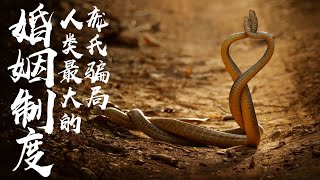 [問卦] 沒人發現台灣未婚率默默突破50%了嗎！