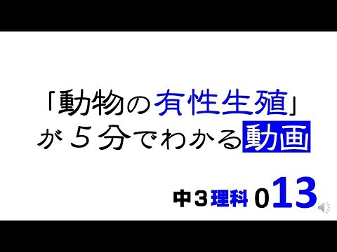動物の有性生殖:種類と例
