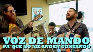 VOZ DE MANDO - PA QUE NO ME ANDEN CONTANDO (Versión Pepe&#39;s Office)