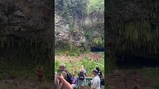 #cruise #adventure #funtimes #vacation #travel #travelphotography #vlog #blog #cruiseadventure