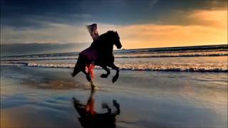 Whiter Shade of Pale   Annie Lennox