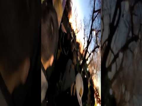 PATO VS RIVOY-PRIMERA RONDA DE LA CRF