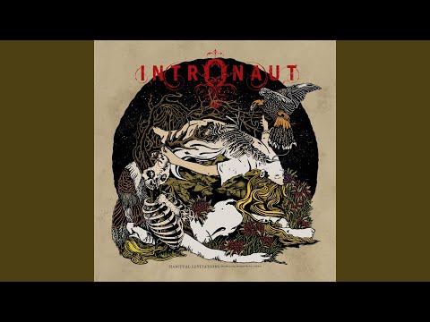 Killing Birds With Stones