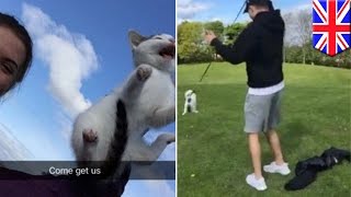 Snapchatting animal cruelty: Scottish teens share video of kitten swung around on leash - TomoNews