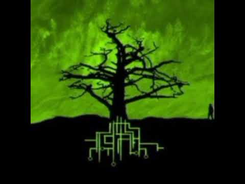 Headsessions Sound system Roots and Culture vinyl mix 05/10/25