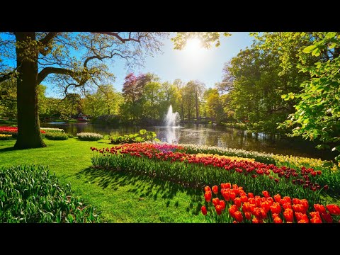 Vođena meditacija - "Postignite vibraciju želje." - Ana Bučević