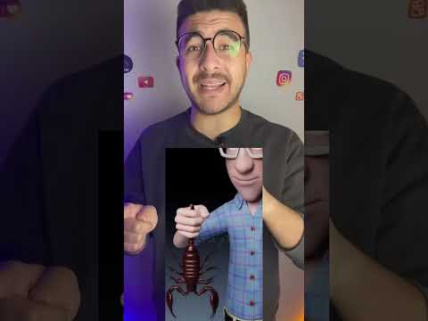 هل لدغة العقرب مميتة