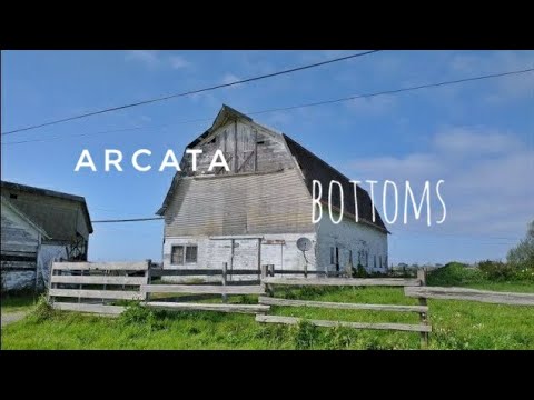Arcata Bottoms & Spooky Mad River County Park - April 2021