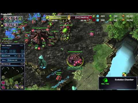 Back To The Basics - Episode 10 - ZvZ Opening