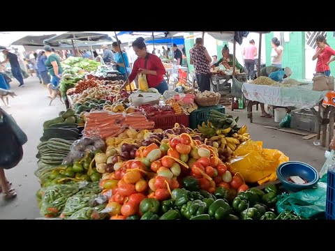 🍎 Pessoal, Venham Conhecer a Feira Livre de Estrela de Alagoas! Frutas e Verduras  Ótimos Preços! 🥬🌽