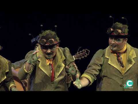 Comparsa juvenil, Las niñas de Catalina - Semifinal