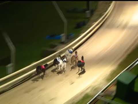 2017 CORAL OLYMPIC - 3RD SEMI - T3 CLASH