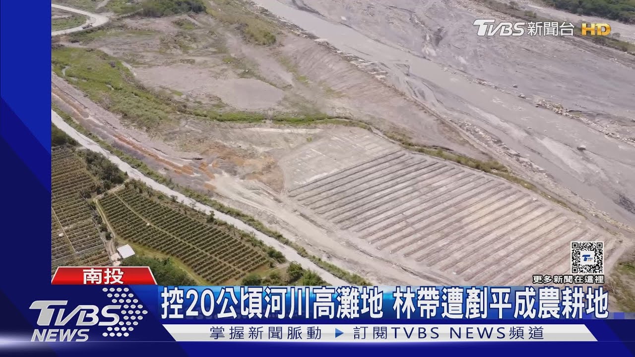 控20公頃河川高灘地　林帶遭剷平成農耕地