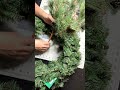 Let’s prep this newest cardinal winter wreath!🔔 #cardinalwreath #wreathmaking #wreathmaker #wreaths