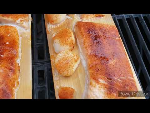 Cedar plank grilled salmon and scallops on the akorn